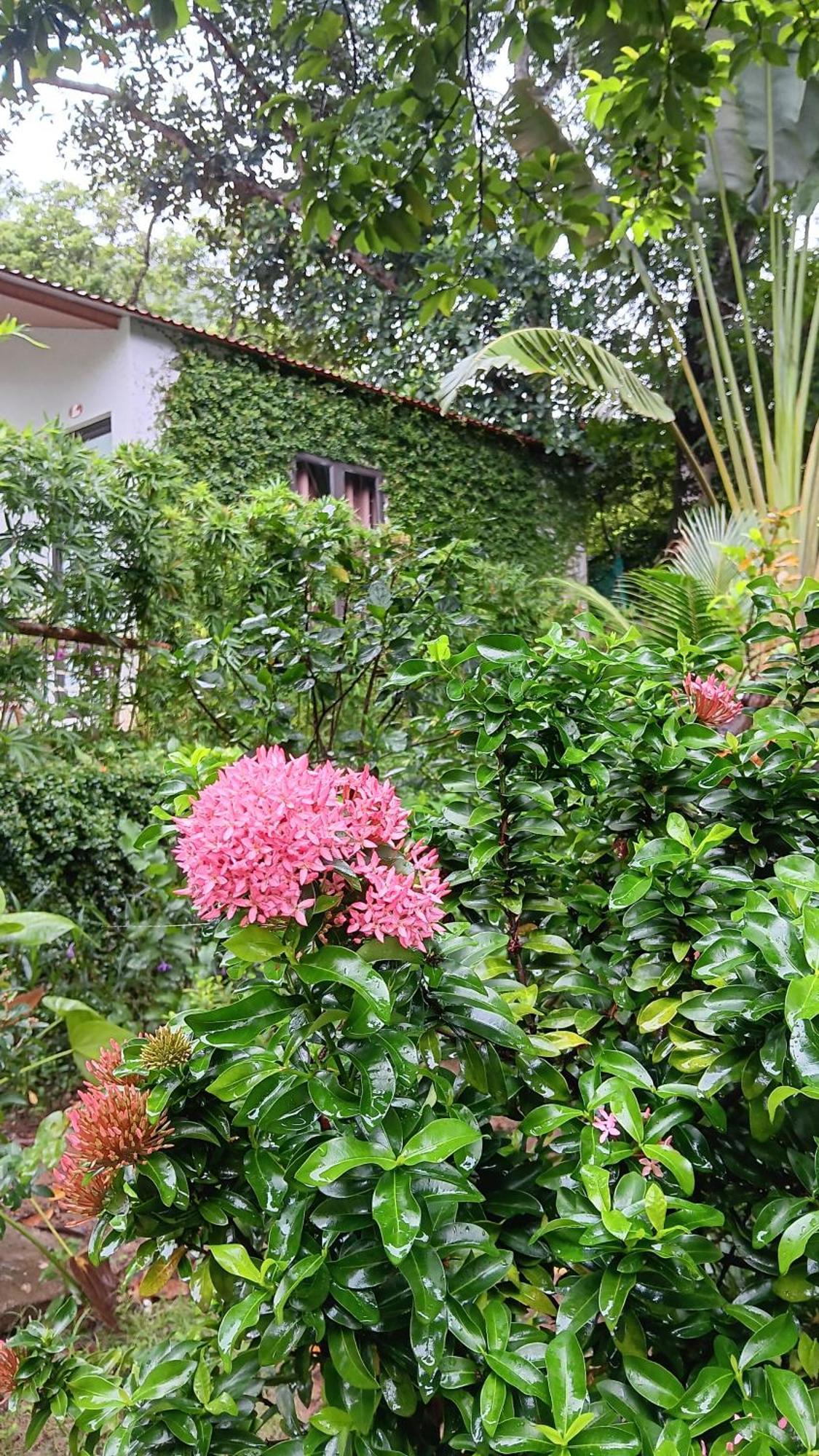 Tran Chau Garden Home Xuân Đám Ngoại thất bức ảnh